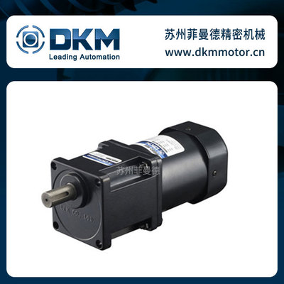 9IDGE-200FH加强型dkm电机减速电机