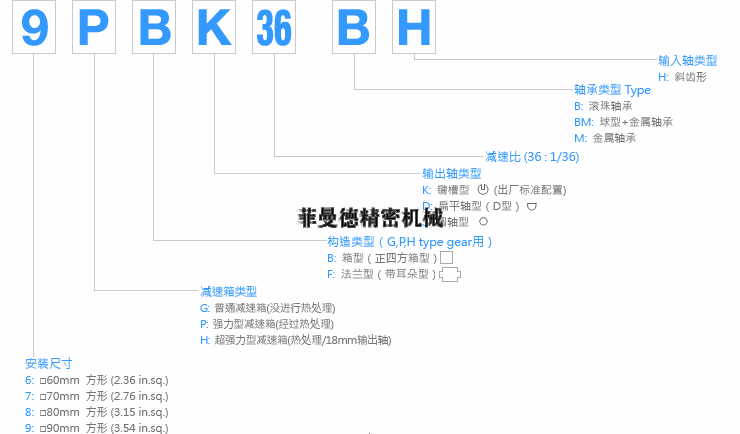 DKM31.gif