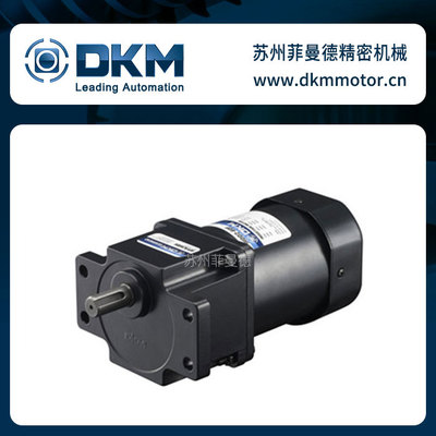 9IDG2_200FP进口200W电动机DKM减速电机
